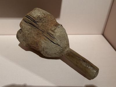 A carpenter's wooden mallet worn smooth by use, Fitzwilliam Museum